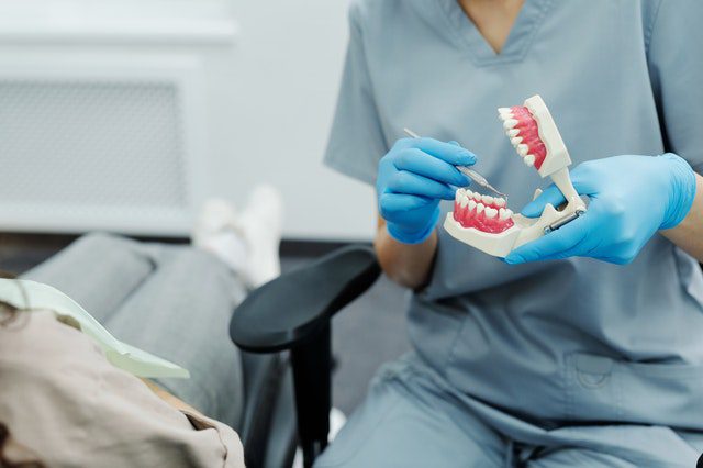dental care worker holding replica of mouth
